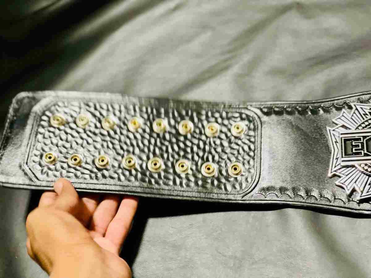 ECW World Wrestling Entertainment (WWE) 4mm CNC Replica Championship Belt - Image 8