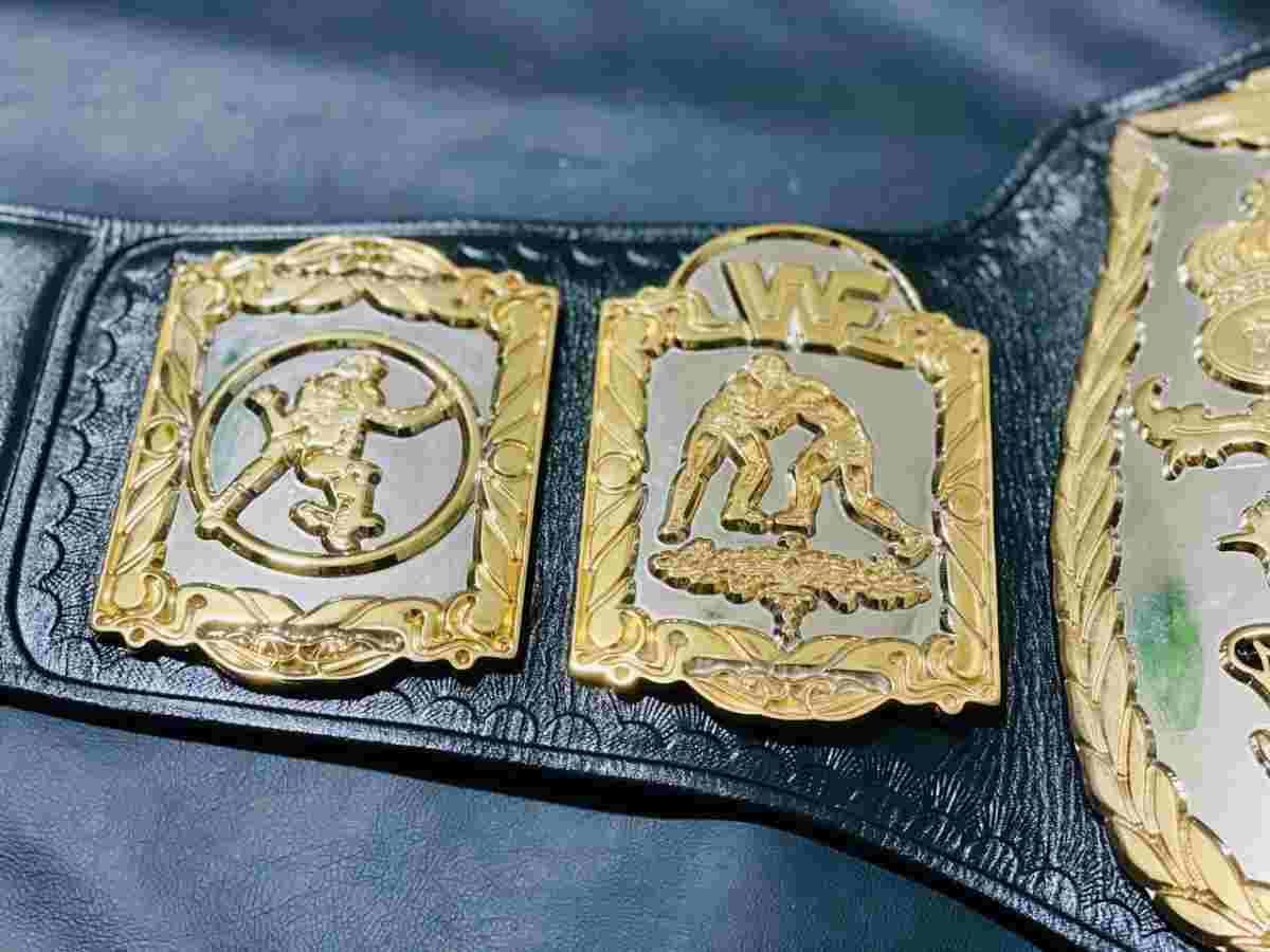 WWF World Tag Team 4mm CNC Dual Plate Version Replica Belt - Image 9