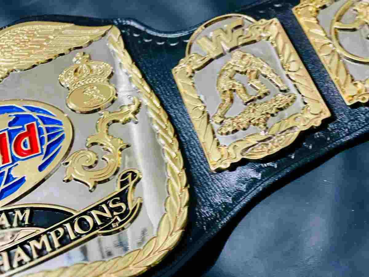 WWF World Tag Team 4mm CNC Dual Plate Version Replica Belt - Image 2