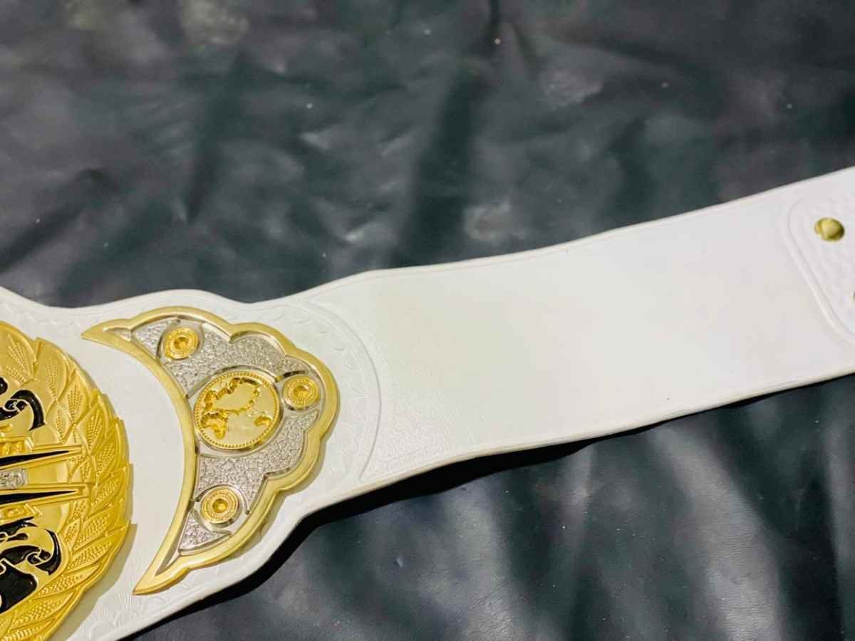 TNA Knockouts World Championship (4mm CNC Replica Belt) - Image 7