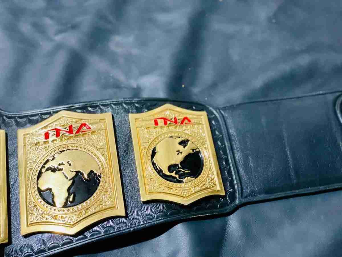 TNA World Tag Team Championship Replica Belt - Image 5