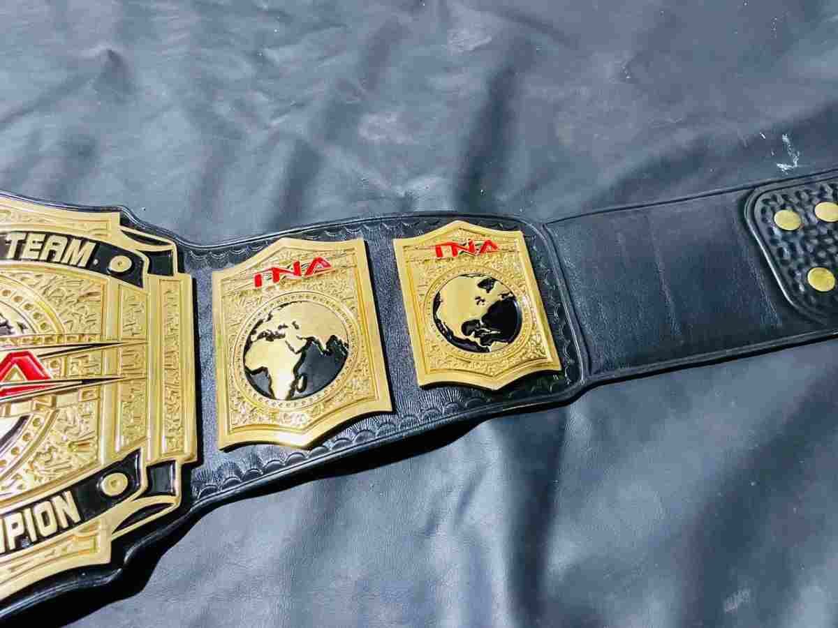 TNA World Tag Team Championship Replica Belt - Image 7