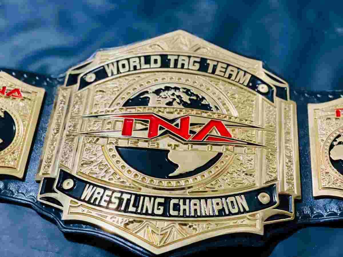 TNA World Tag Team Championship Replica Belt - Image 9
