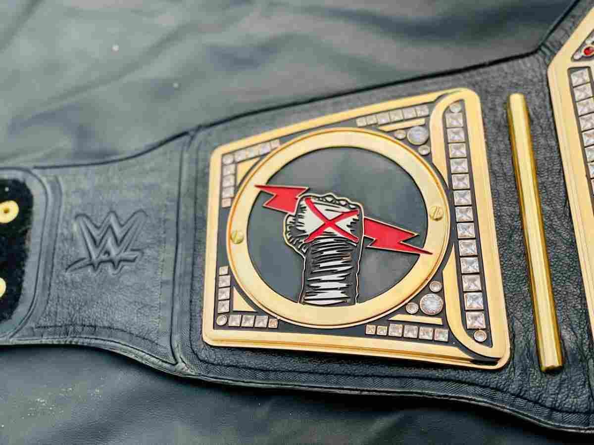 WWE Undisputed Championship (CM Punk Custom Side Plates Replica Belt) - Image 5