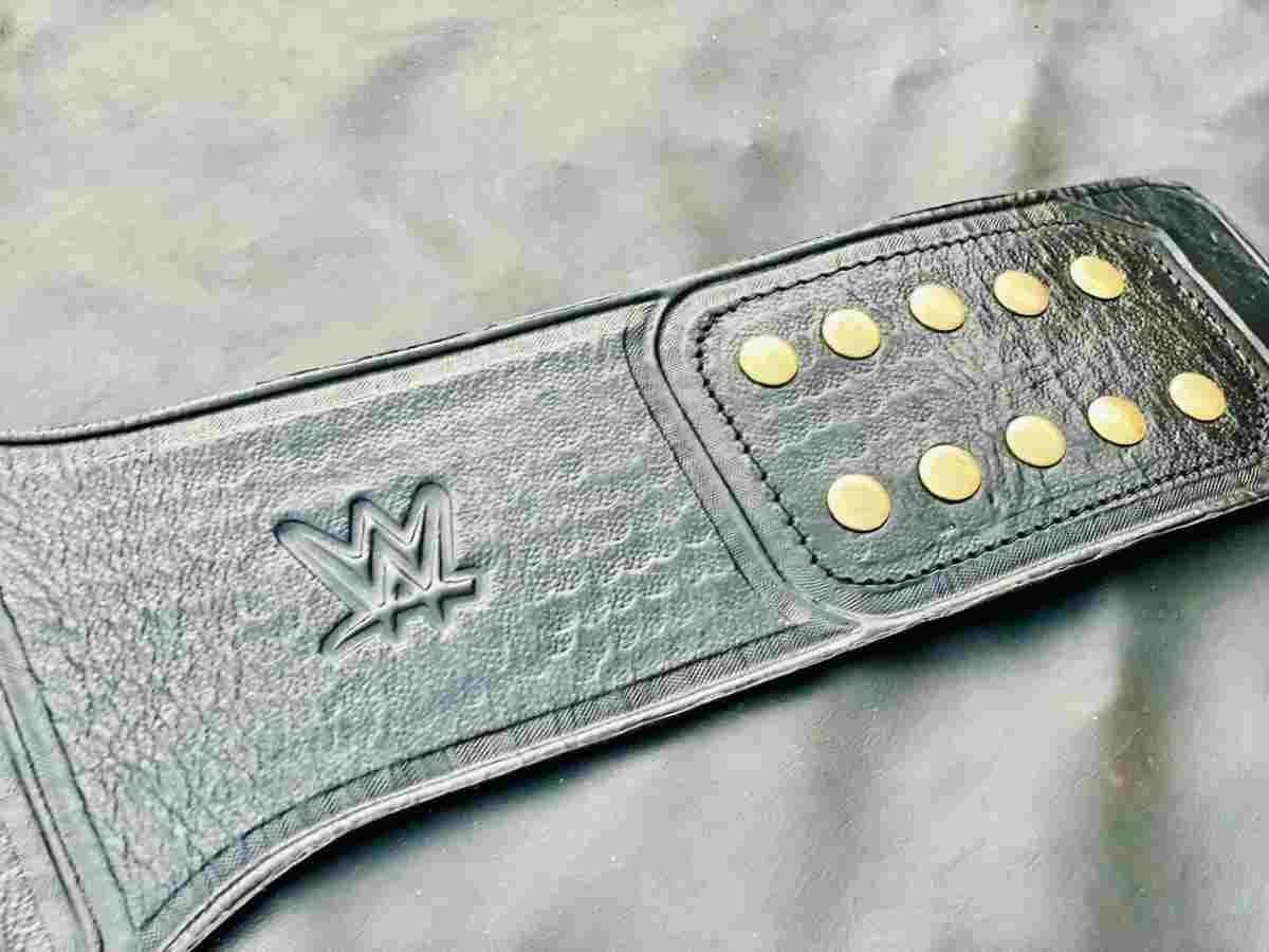WWE Undisputed Championship (CM Punk Custom Side Plates Replica Belt) - Image 6