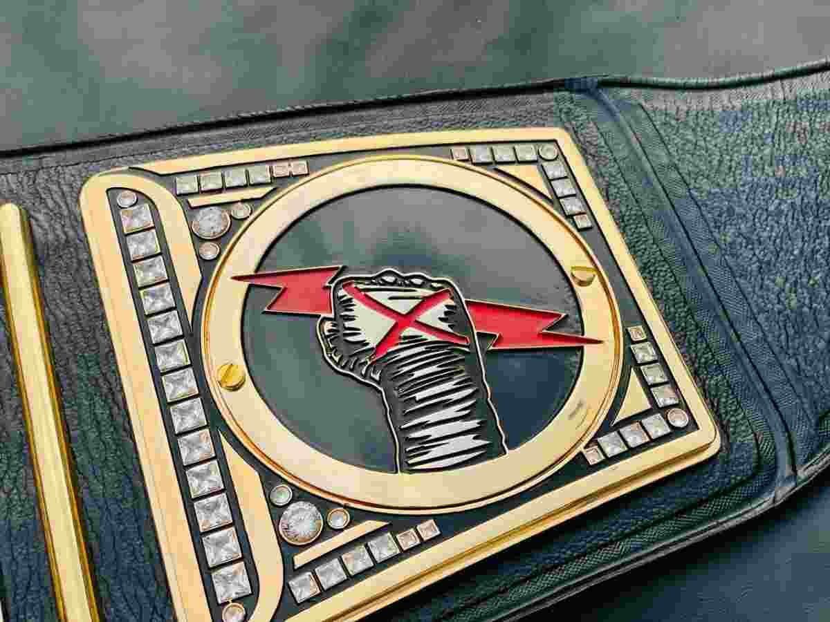 WWE Undisputed Championship (CM Punk Custom Side Plates Replica Belt) - Image 4
