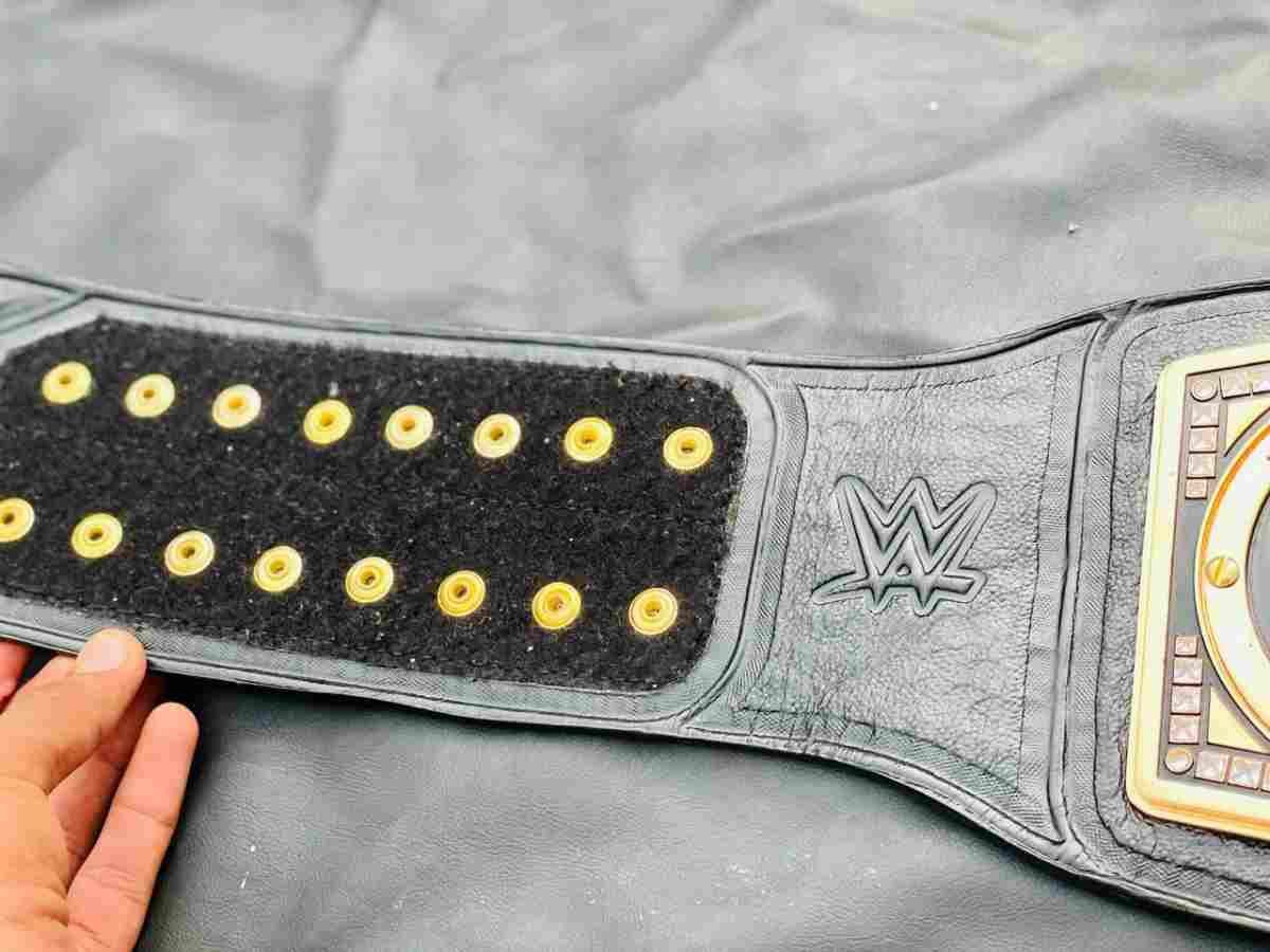 WWE Undisputed Championship (CM Punk Custom Side Plates Replica Belt) - Image 2